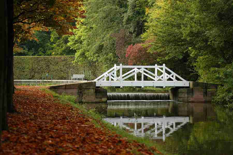 河北大学校花林知予 河北大学校花林知予