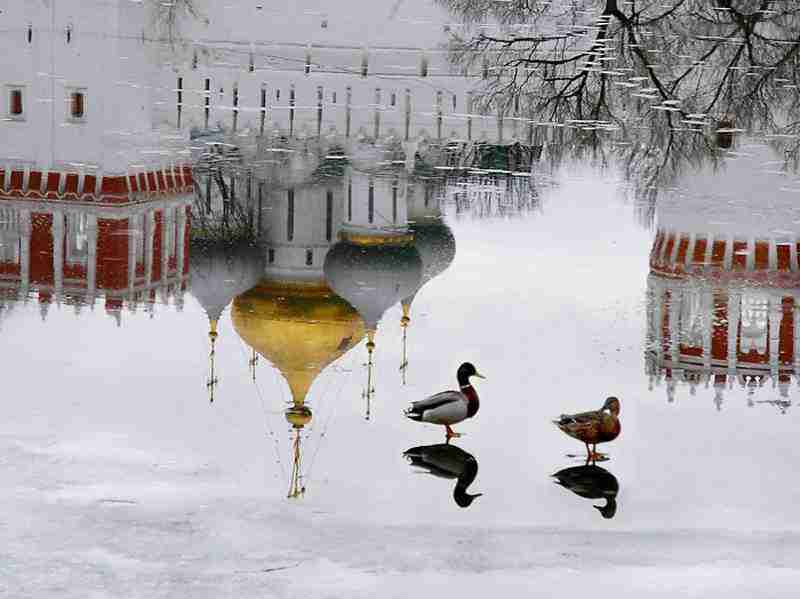 山东城市建设职业学院校花施云舒