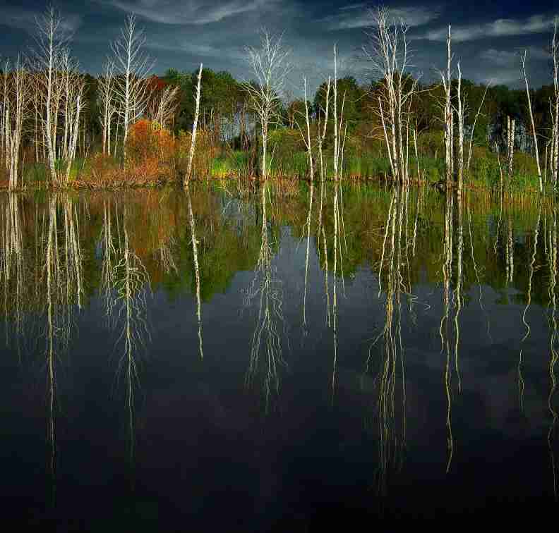 西安建筑科技大学华清学院校花温景然