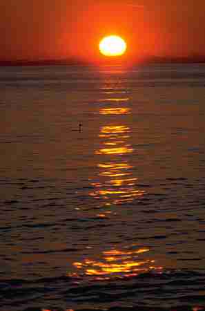 西安外国语大学校花夏星辞