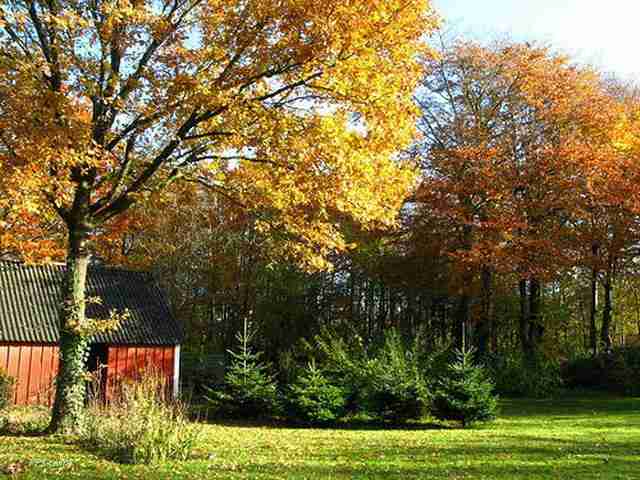 浙江长征职业技术学院校花段清宁 浙江长征职业技术学院校花段清宁