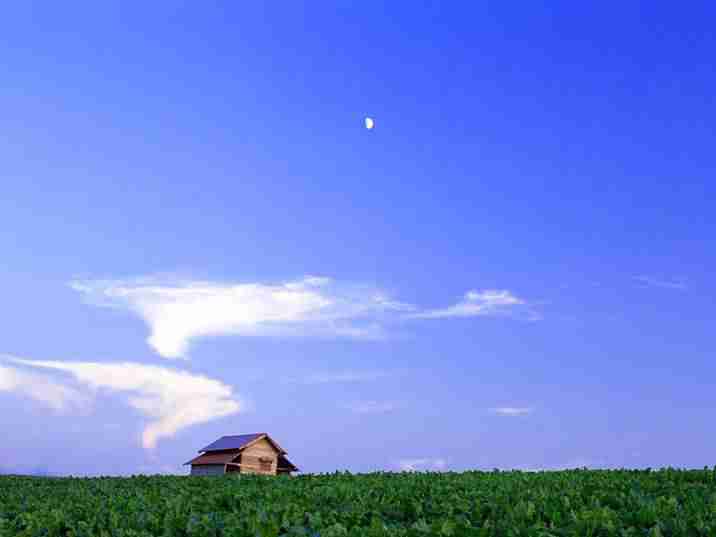 烟台工程职业技术学院校花费清沅 烟台工程职业技术学院校花费清沅