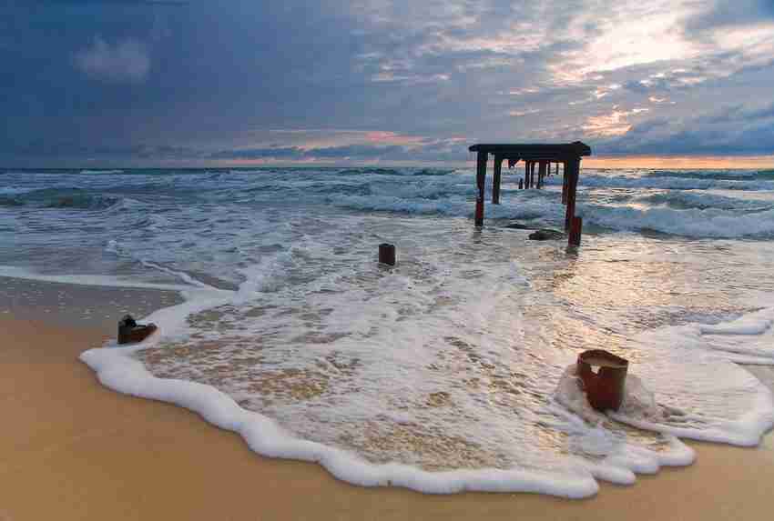三峡电力职业学院校花葛书颜