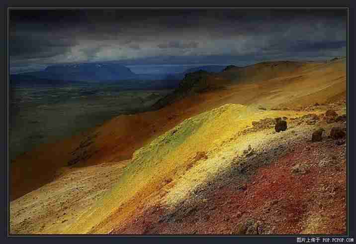 青岛港湾职业技术学院校花温书瑶