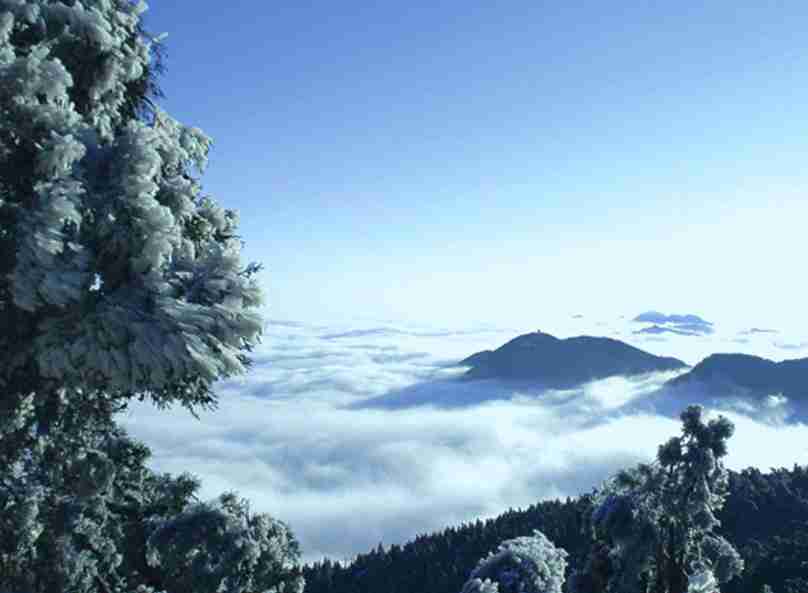 黑龙江外国语学院校花严云柠