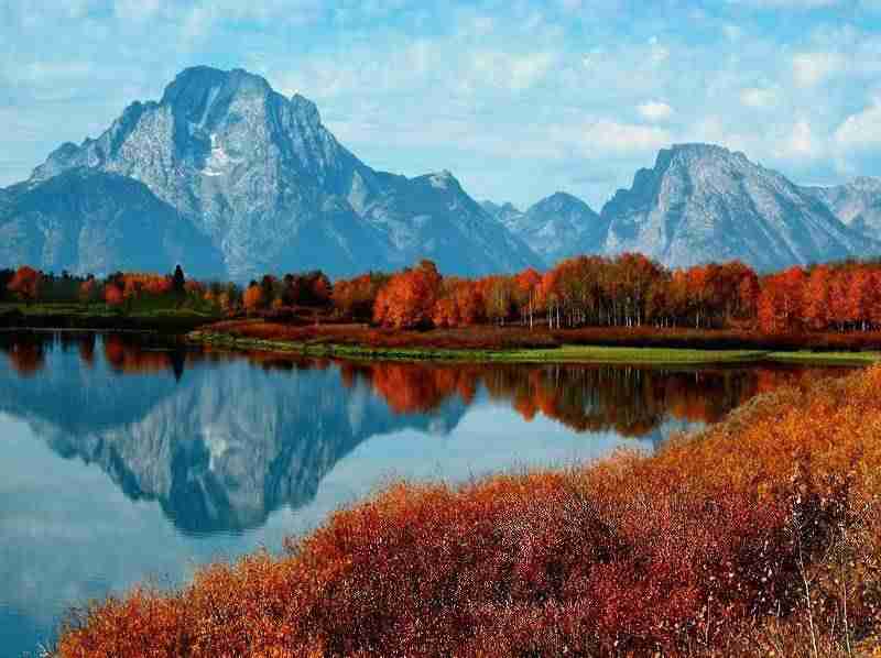 重庆城市科技学院校花秦星辞