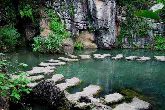 海南外国语职业学院校花钟乐溪 海南外国语职业学院校花钟乐溪