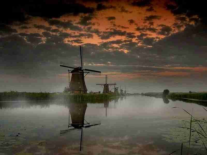 石嘴山工贸职业技术学院校花熊星落 石嘴山工贸职业技术学院校花熊星落