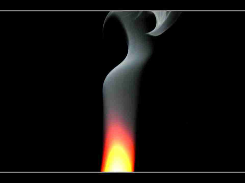 岳阳职业技术学院校花安知夏